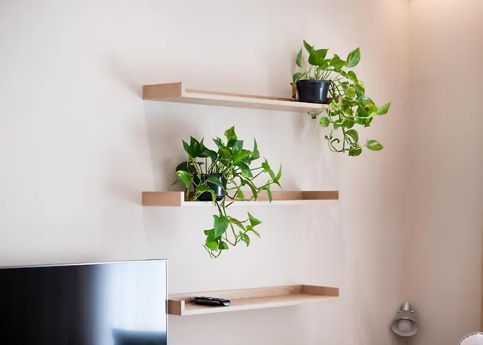 Drive Rooms&apartments Lejlighed Tirana